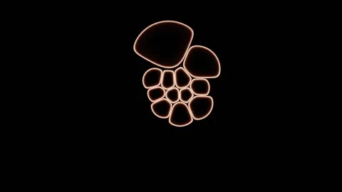 Only The Colony Boundary Takes Up The Applied Marker Stock Footage 344512553