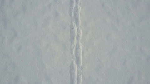 Only footprints on a lake Stock Footage 85589913