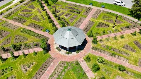Only Just Started - Rose Garden - Syracuse, NY Photos