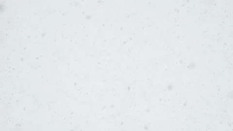 Only snowflakes falling during a snowstorm create an abstract background. Stock Footage 264993742