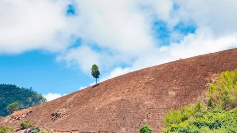 Only tree left on him had a cloudy and sky background, Time lapse, Thailand Stock Footage 105871787