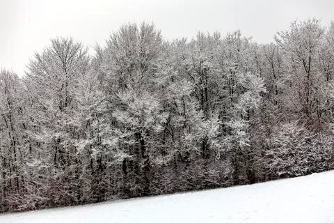Onset of winter Stock Photos