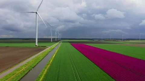 Onshore windfarm in the Netherlands Stock Footage 289958517
