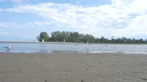 Ontario beach [panning] 1 Stock Footage 82733591