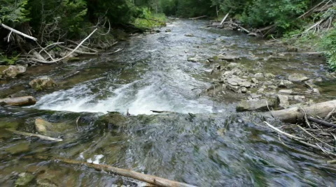 Ontario, Canada Vídeos de archivo 779077