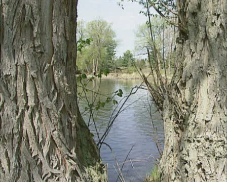 Ontario river streaming in spring, pan rapids Stock Footage 23355225