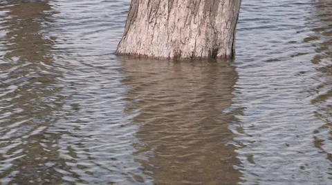 Ontario spring flood and raging river Stock Footage 37352064
