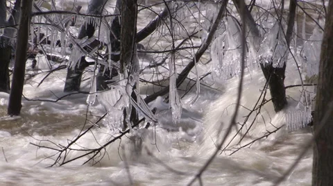 Ontario spring flood Stock Footage 37266953