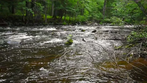 Ontonagon River gently flowing downstream Stock Footage 132302249