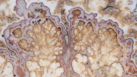 Onyx  4K Stock Footage 78163570