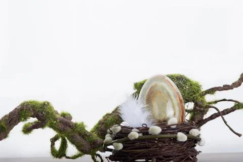Onyx egg in nest Stock Photos