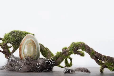 Onyx egg in nest Stock Photos