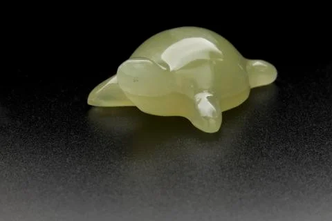 Onyx turtle Stock Photos
