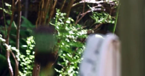 Oozing Opium Stock Footage 70149105