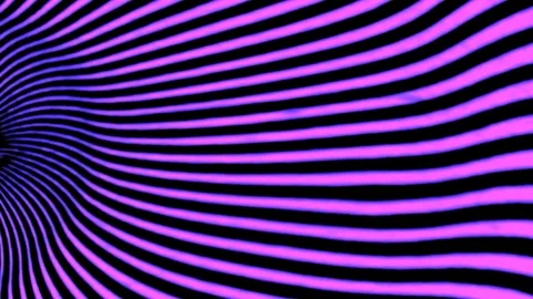 Op Violet 库存影片 107498425