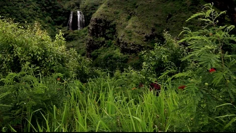 Opaekaa Falls on Kauai Video stock 104268993