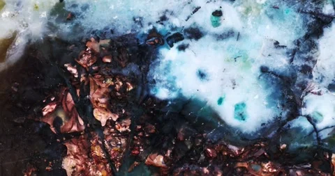 Opal (opalized petrified wood (fossilized opal)). Stock Footage 306366313
