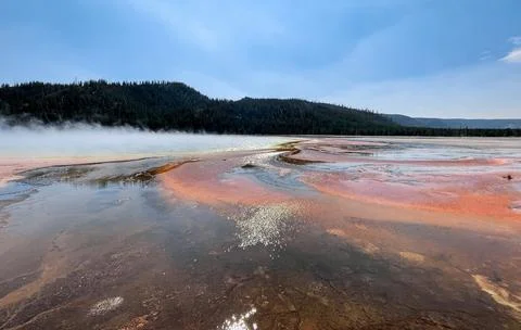 Opal Pool Front View Stock Photos