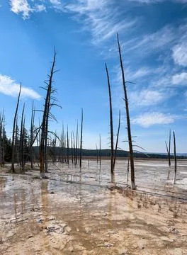 Opalescent Pool Stock Photos