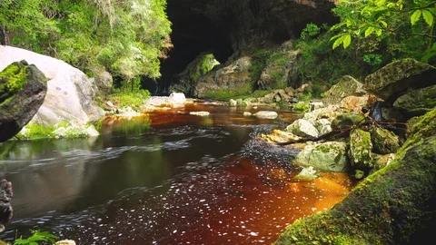 Oparara Archway Stockbeeldmateriaal 128154718