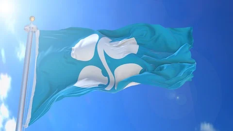 OPEC animated flag pack in 3D and isolated background Stock Footage 119929586