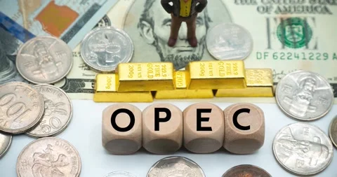 Opec.Organization of the Petroleum Exporting Countries. Stock Footage 201413871