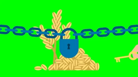 Open access. The problem of food for poor countries. Access to grain is closed Stock Footage 283822522