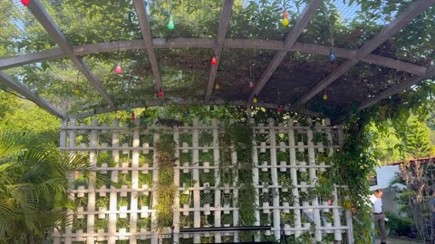 Open air lunch hotel 스톡 동영상 322939620
