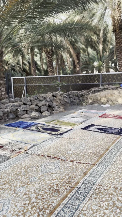 Open Air Prayer in Date Palm Oasis With Serene Worship in Al Hajeem Vídeo Stock 325444883