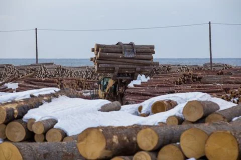 Open-air timber warehouse. A loader transports an armful of felled logs throu Stock Photos