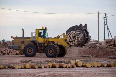 Open-air timber warehouse. A loader transports an armful of felled logs throu Stock Photos