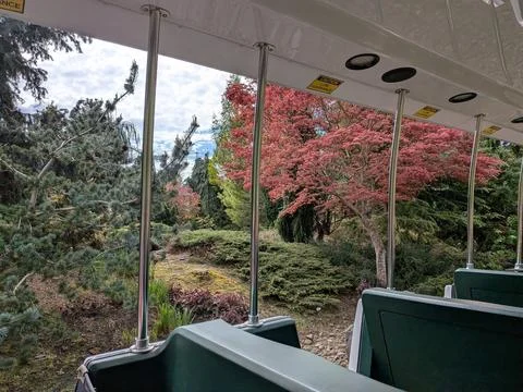 Open-air trolley frames brilliant red foliage and diverse botanical displays Stockfoto's