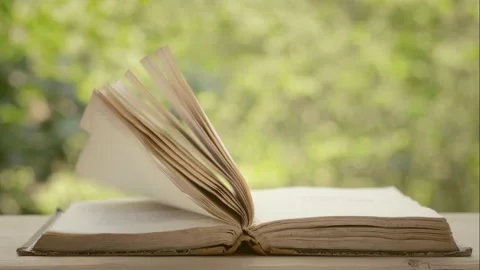 Open ancient book with pages stirring from gusts of strong wind Stock Footage 149708646