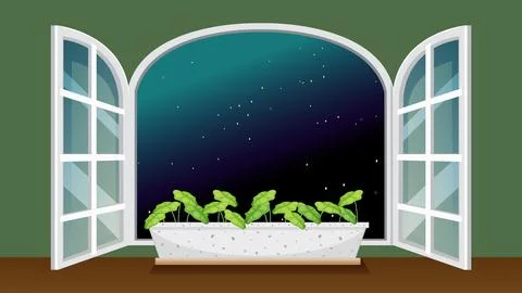 Open Arched Window Looking Out to a Starry Night Sky 库存插图