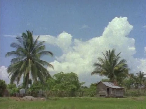 An open area with trees and small house with white clouds at the background Stock Footage 79879941