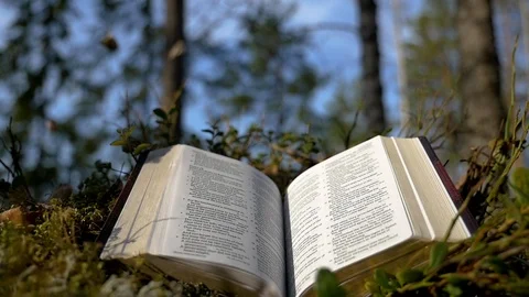 Open Bible in the forest with the wind flipping the pages. Leaves falling Stock Footage 107531055