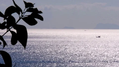 Open big sea view 動画素材 77529079