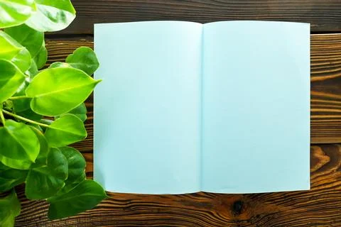 An open blank blue notebook rests on a dark wooden surface, accompanied by .. Stock Photos