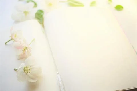 Open blank book with blank sheets and a pen in apple blossoms around Stock Photos