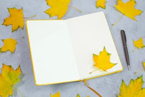 An open blank diary notebook, calendar and yellow leaves on grey concrete table Foto stock