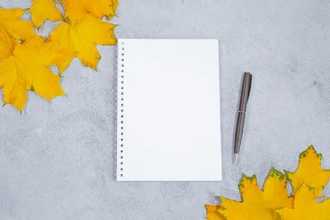 An open blank diary notebook, calendar and yellow leaves on grey concrete table Stock Photos