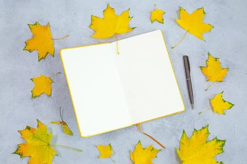 An open blank diary notebook, calendar and yellow leaves on grey concrete table Foto stock