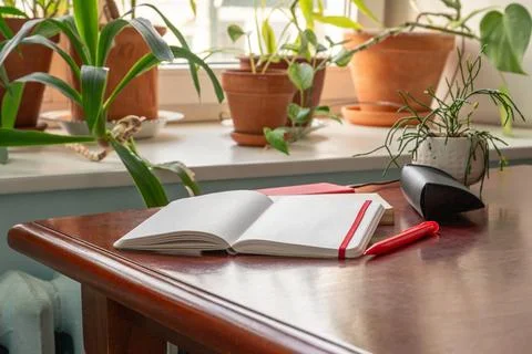 Open blank notebook and red pen on wooden desk beside potted houseplants. H.. Stock Photos