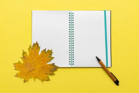 Open blank notebook, diary pen and maple leaves on a yellow background, close Stock Photos