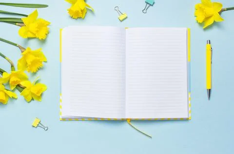 Open blank notebook, pen, clips, spring flowers daffodils narcissus on blue Stock Photos