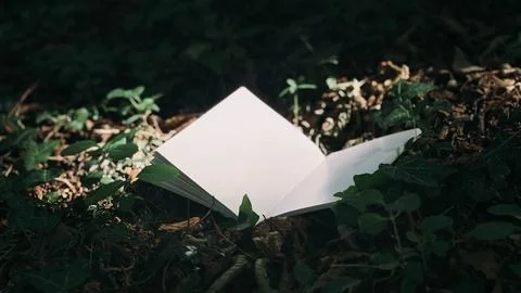 Open Blank Notebook Placed on Forest Ground Stock-Fotos
