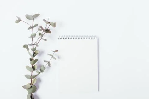 Open blank notepad and a green twig Stock Photos
