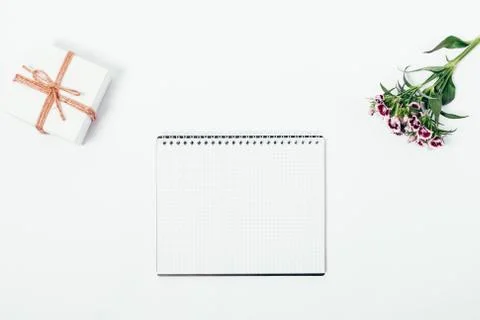 Open blank notepad, small gift box 库存照片