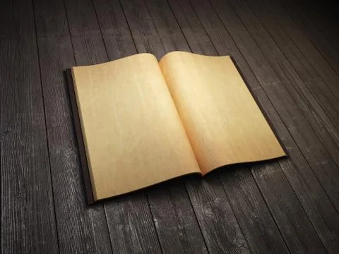 Open blank old book Stock Illustration