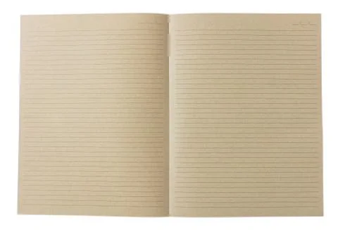 Open blank school notebook, old fashioned, isolated on white background, spac Stock Photos